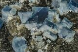 Blue Cubic Fluorite on Quartz - China #114027-3